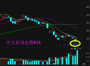 中文在線300364限售股解禁 能否助公司走出低谷，重振互聯(lián)網(wǎng)文化活動(dòng)？